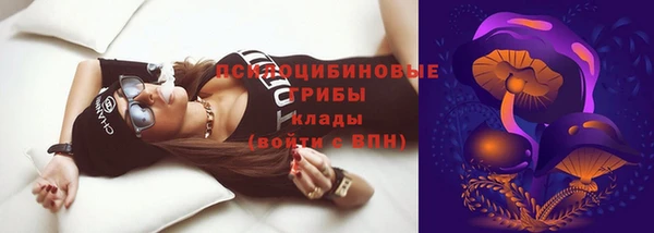 крисы Алексин
