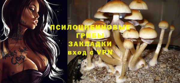 синтетический гашиш Алексеевка