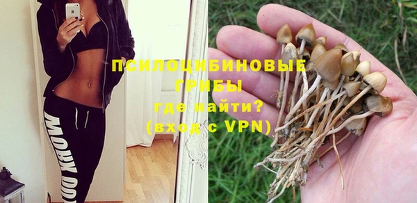 синтетический гашиш Алексеевка